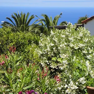 Apartamento Casas Erel, Puntagorda